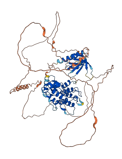 AGAP5 3D structure