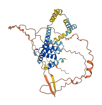 SPDYE5 3D structure