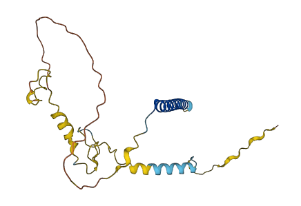 MBD3L5 3D structure