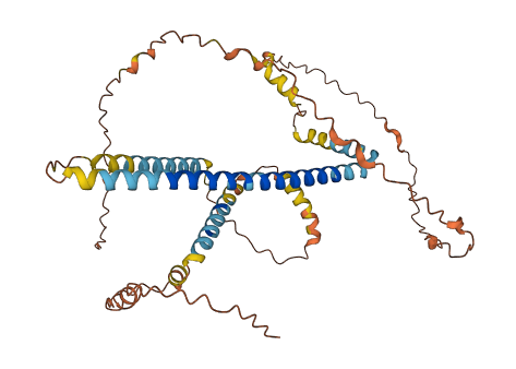 NPIPB2 3D structure