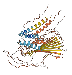 SAGE2P 3D structure