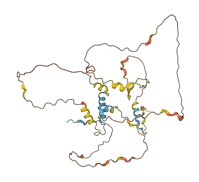 PRR19 3D structure