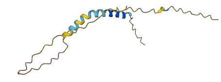 C11orf86 3D structure