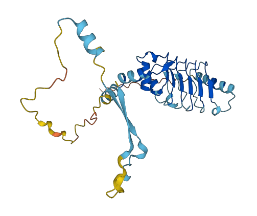 LRRC72 3D structure