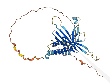 C19orf67 3D structure