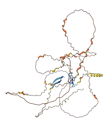 FAM90A8P 3D structure