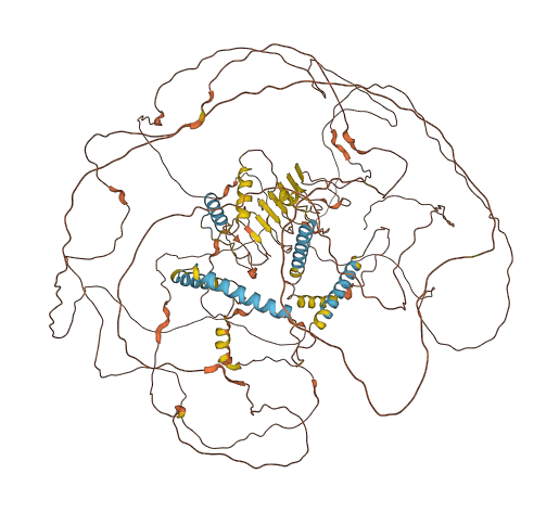 NPIPB13 3D structure