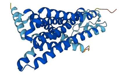 OR6C65 3D structure