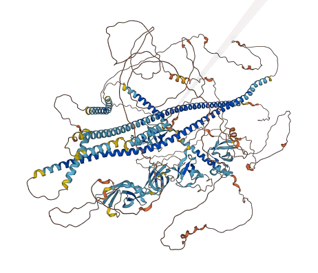 RIMBP3C 3D structure