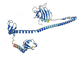 TRIM75P 3D structure