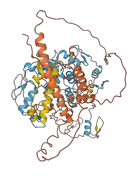 ZNF233 3D structure