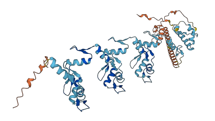 ZNF98 3D structure