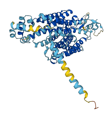 SLC22A20P 3D structure