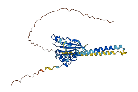 TSPY2 3D structure