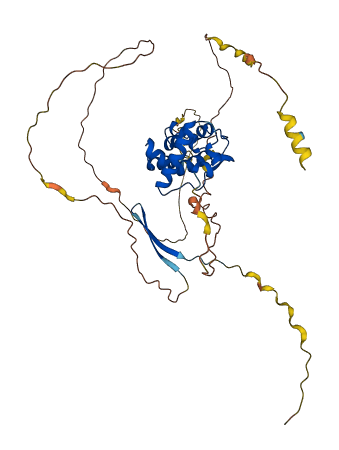 ARID3C 3D structure