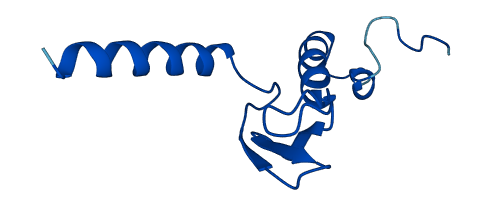 RPL37AP8 3D structure
