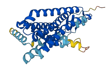 OR5H1 3D structure