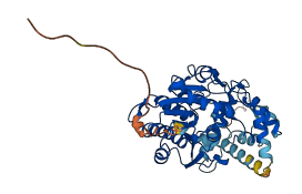 SDR42E2 3D structure