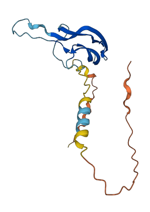 CGB1 3D structure
