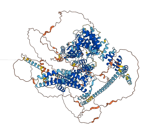 RGPD3 3D structure