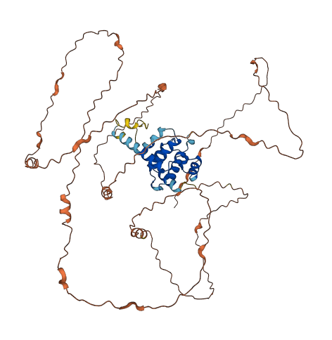 SPDYE3 3D structure