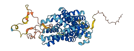 SLC22A31 3D structure