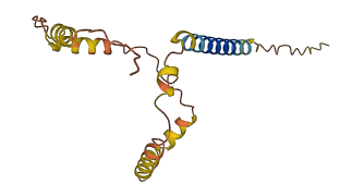 FAM74A7 3D structure