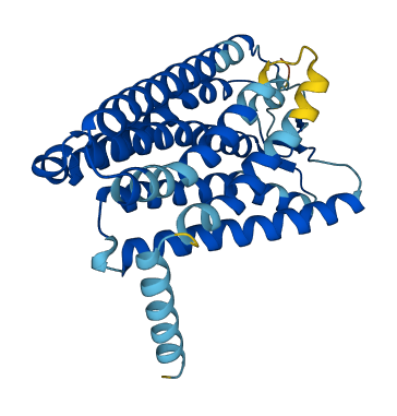 OR6C75 3D structure