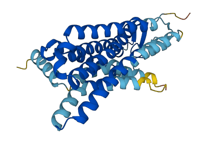 OR5B21 3D structure