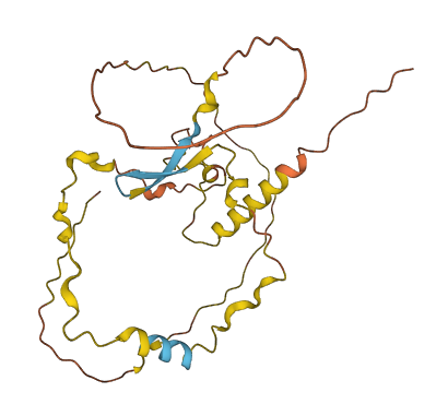 C3orf70 3D structure