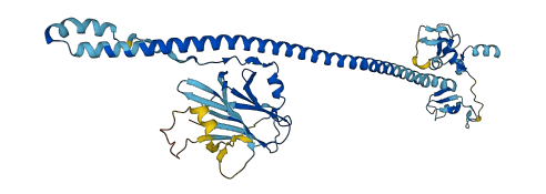 TRIM64C 3D structure