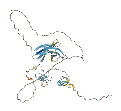 C2CD4B 3D structure