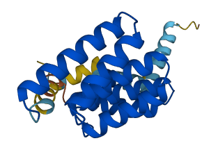 TTC36 3D structure