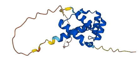 DUXA 3D structure