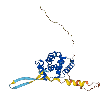 SPDYE4 3D structure