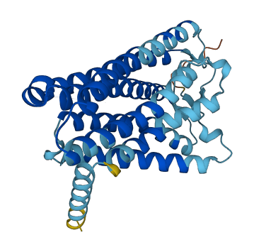 OR2AG2 3D structure