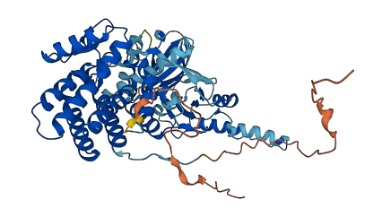 CCT8L1P 3D structure