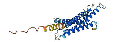 CLDN24 3D structure
