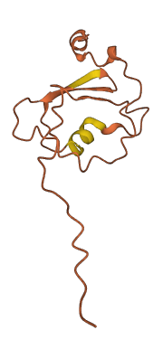 LINC01548 3D structure