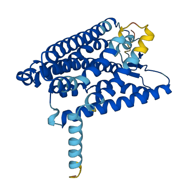 OR6C76 3D structure