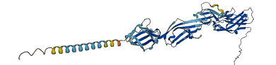 SIGLEC16 3D structure