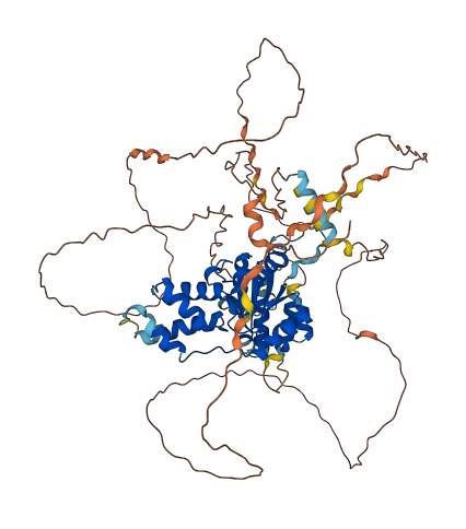 FIGNL2 3D structure