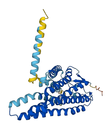 OR5K4 3D structure