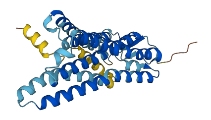 OR52A4P 3D structure