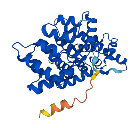 ANXA2P2 3D structure