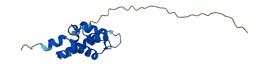 SNTN 3D structure