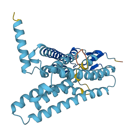 OR4C45 3D structure