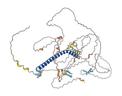 C2orf81 3D structure