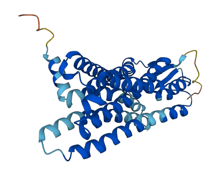 OR2AT4 3D structure