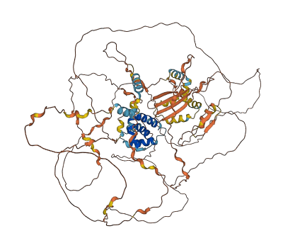 NUTM2B 3D structure